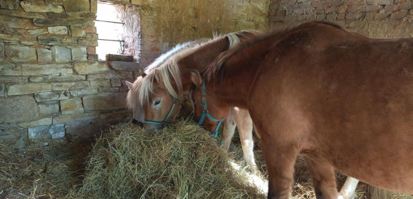 552701679_1296260058847863_398