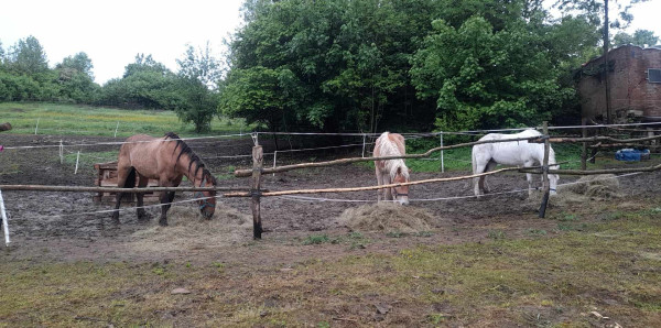 494576930_1607241679973914_492