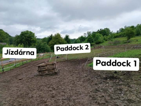 491214106_1778991336015003_760