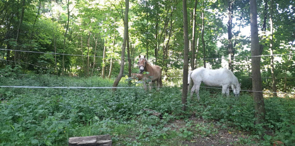 495077250_1944046033064077_644