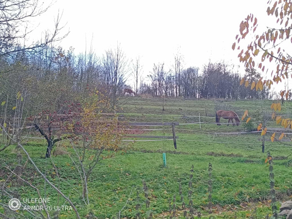 568207977_24807196662295042_91