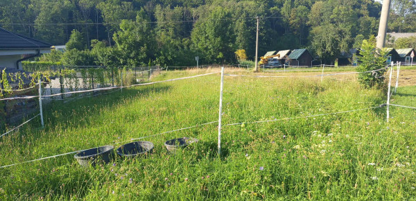 527056793_1652062572148291_844