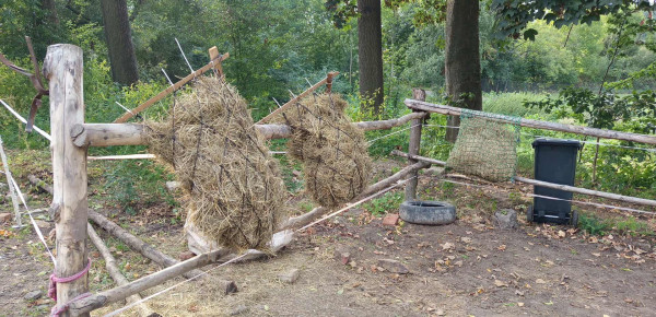 541254452_626361096974671_3838