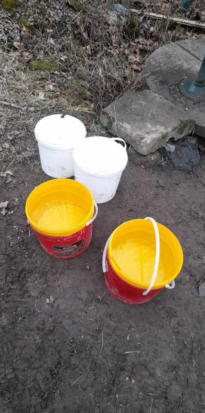 481616922_2843251799178275_270