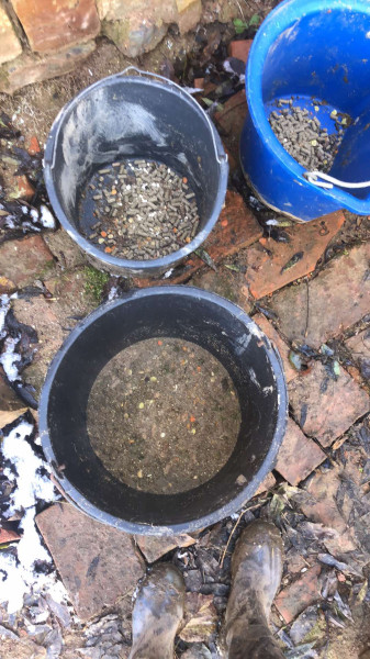 462583700_927000289364094_7251